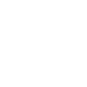 UBC logotipo blanco